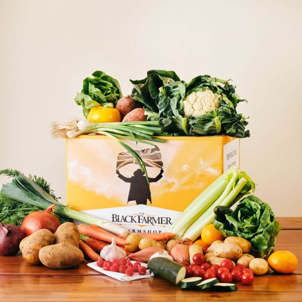 Fresh Vegetables Medium Box