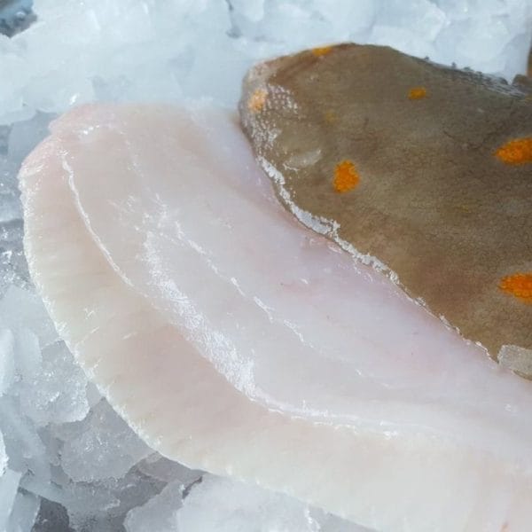 Plaice Fillets Pair