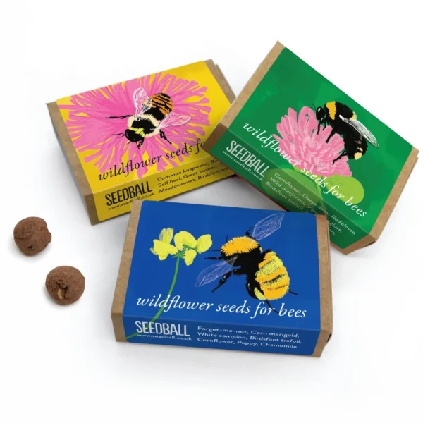 Bee Seed Box