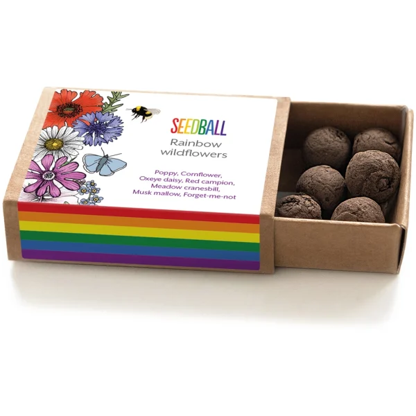 Seedball Box