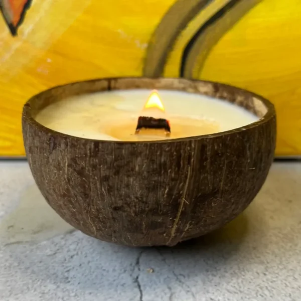 Coconut Shell Candle - Cinnamon Apple