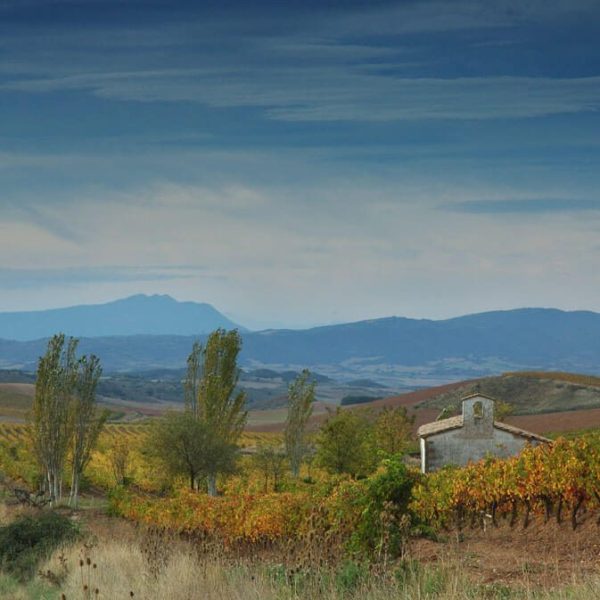 Nekeas Tinto Cosecha 2021 - Image 2