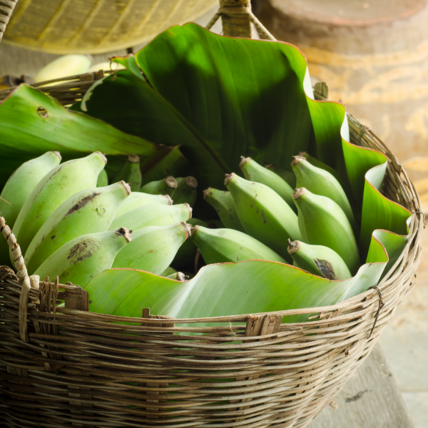 Fresh Fruits and Vegetables