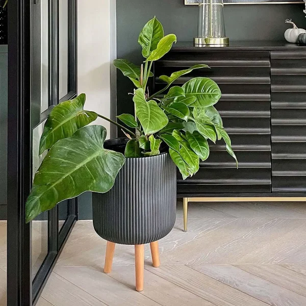 Large Idealist Ribbed Round Indoor Planter with Legs