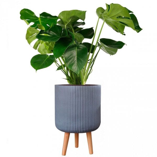 Large Idealist Ribbed Round Indoor Planter with Legs - Image 2